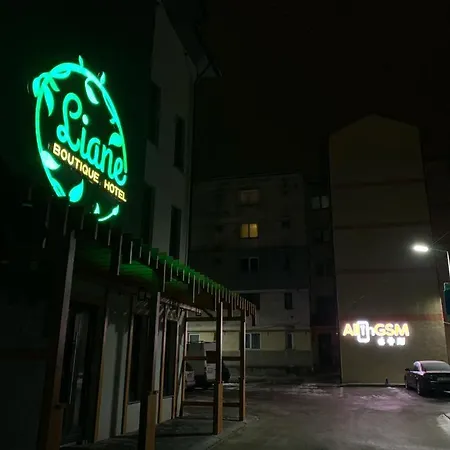 Hotel Liane Boutique Câmpulung Moldovenesc